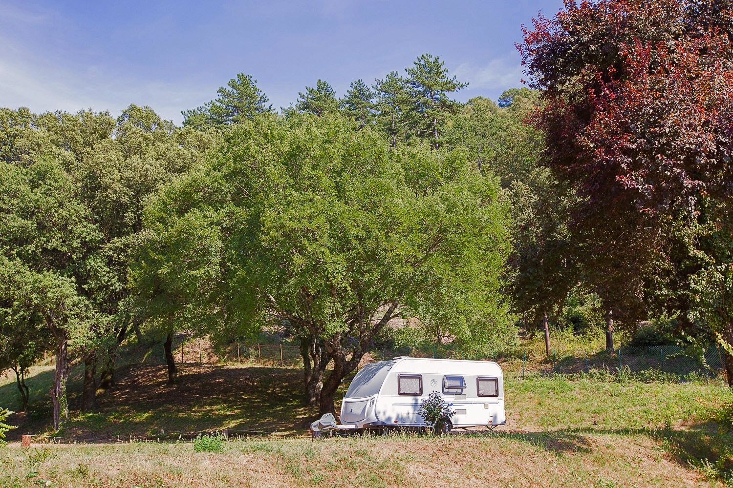 Camping La Pinède des Mées