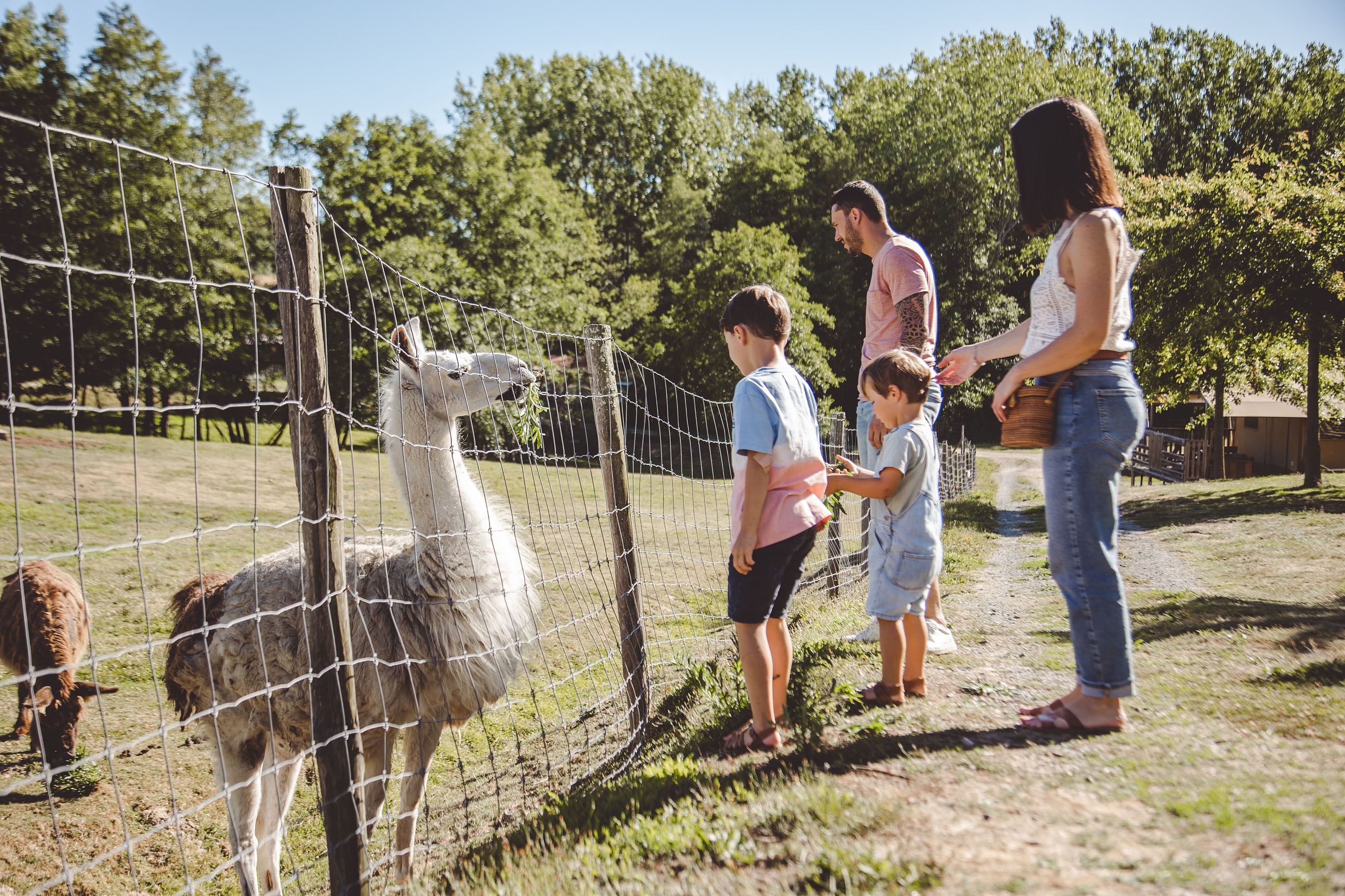 Camping Village de la Guyonnière
