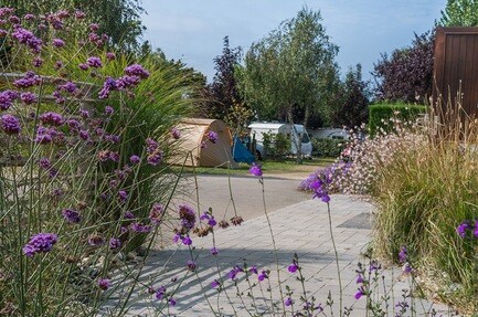 Camping du Vieux Verger