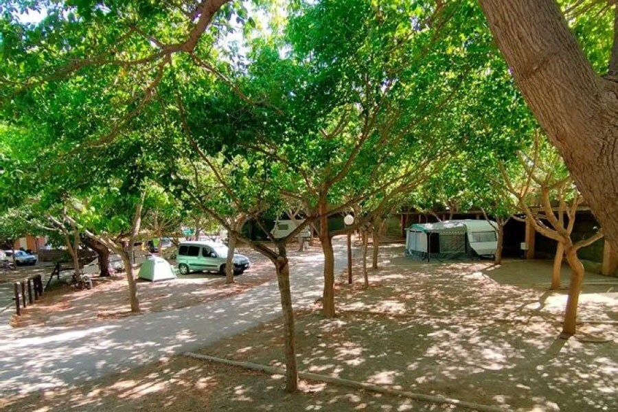 Camping El Pino