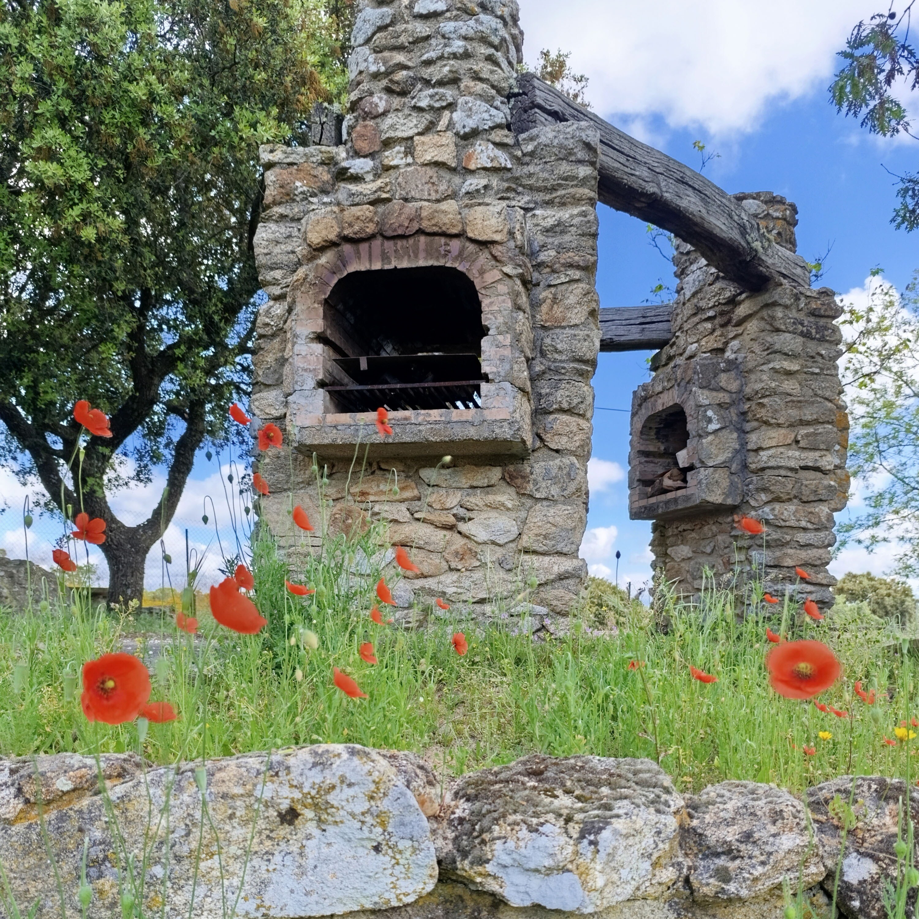 Camping Arribes del Duero