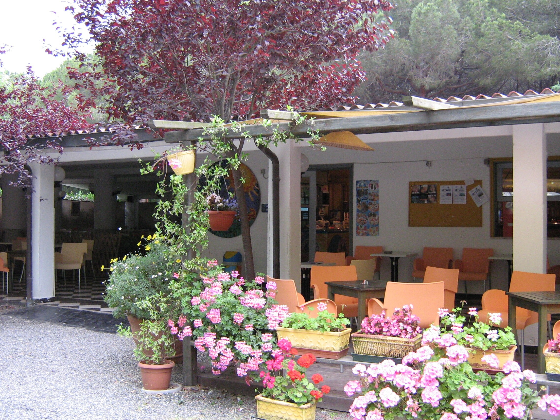 Camping Molino a Fuoco