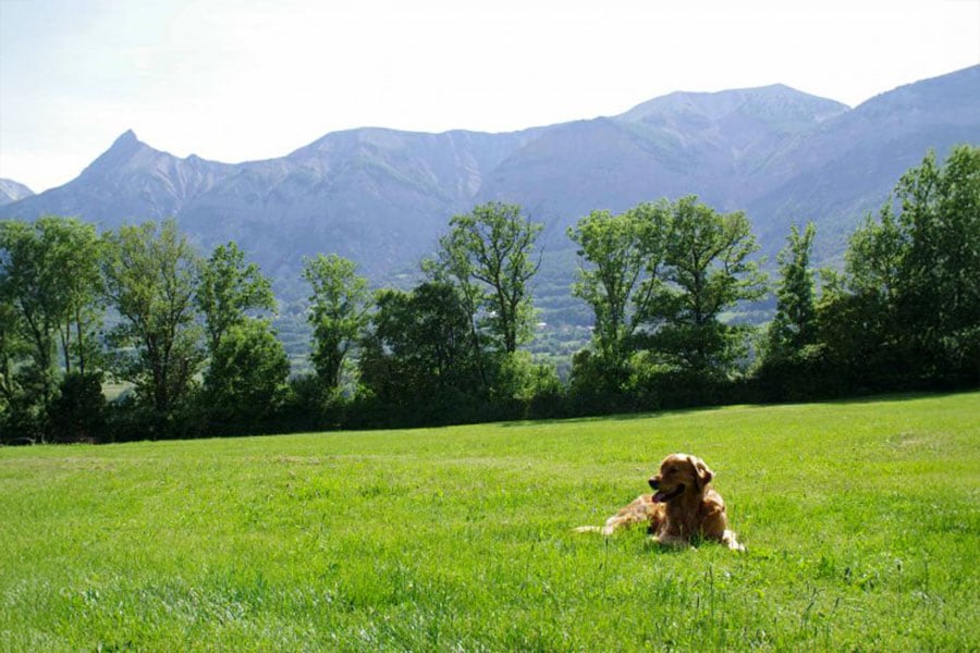 Camping Saint-Bonnet-en-Champsaur