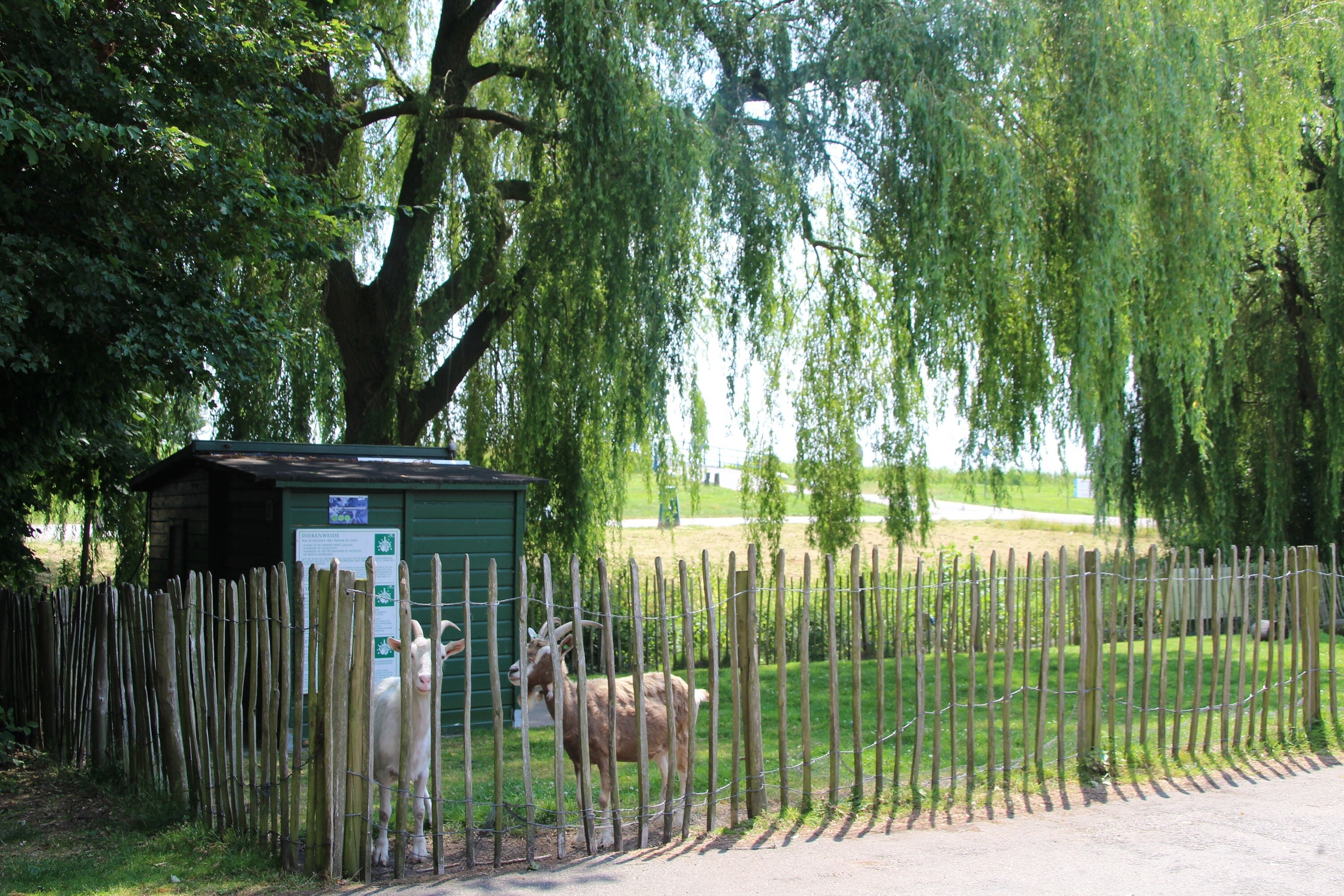 Recreatiepark De Koornmolen