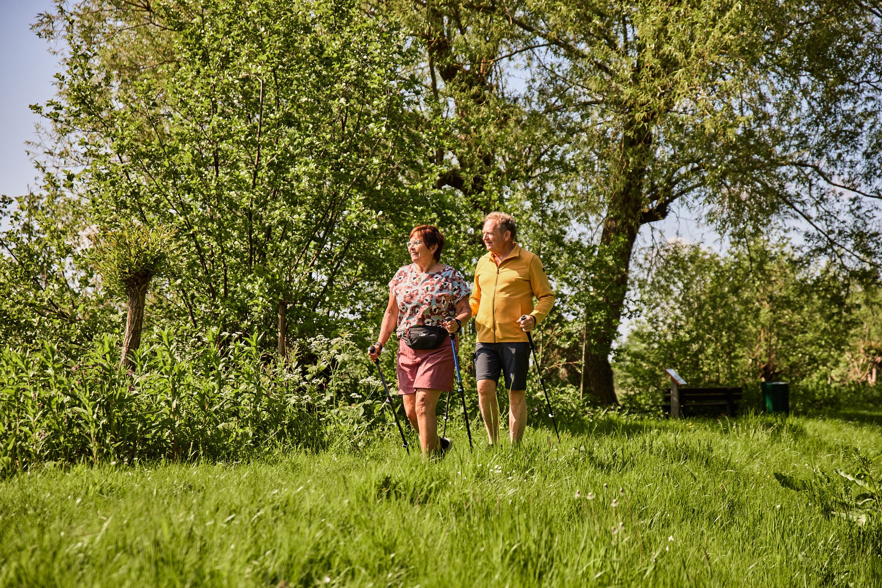 Recreatiepark De Koornmolen