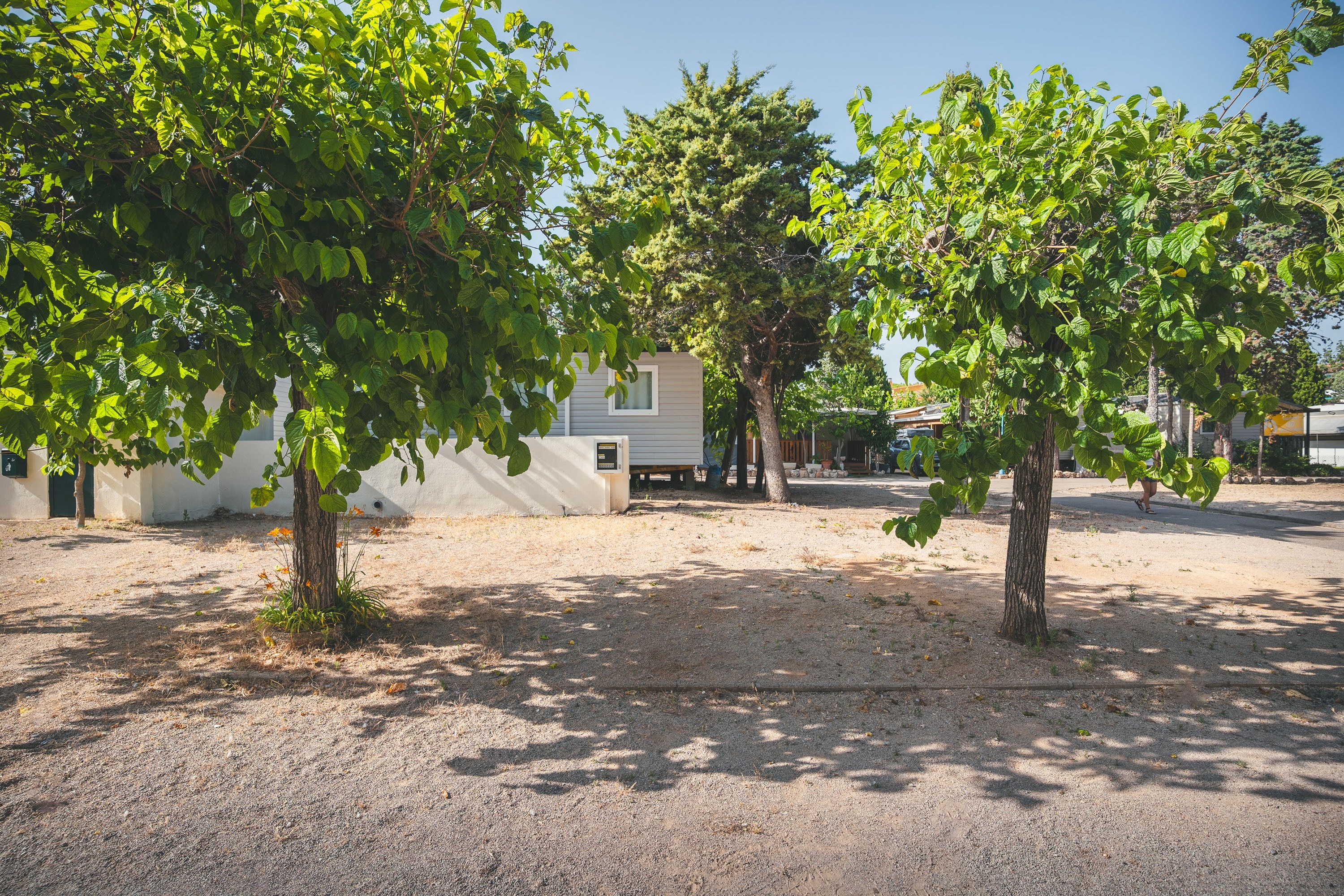 HolaCamp Sant Salvador