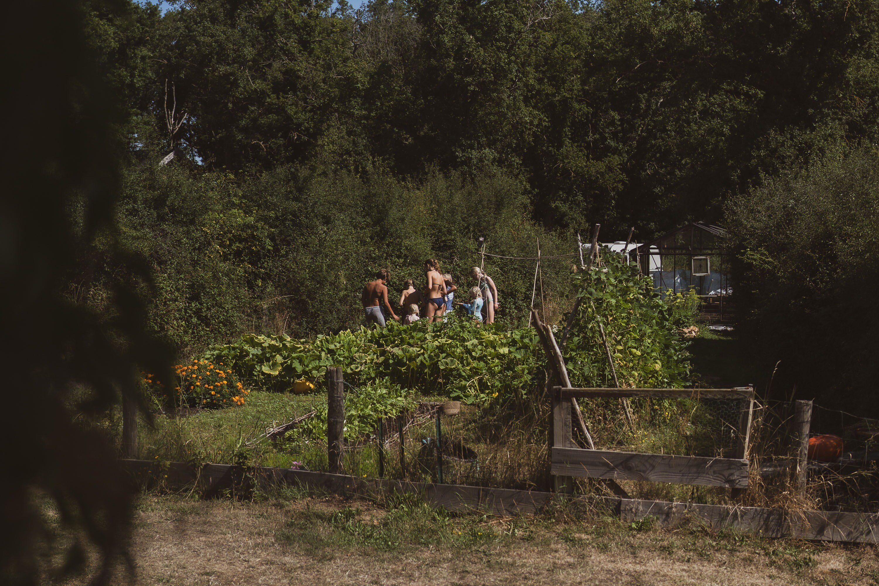 Camping Domaine Bonneblond