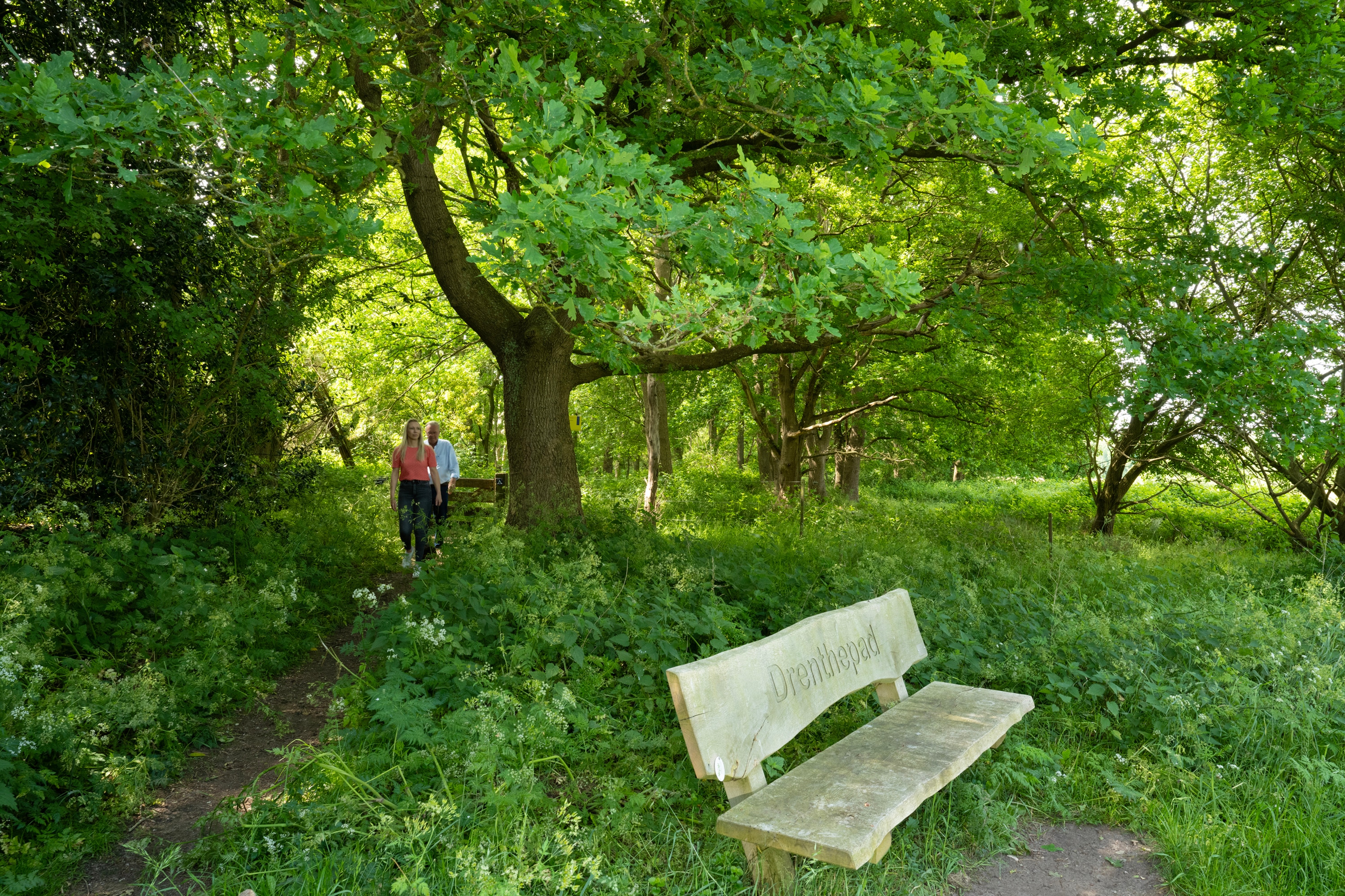 Camping Landgoed Geuzenbos