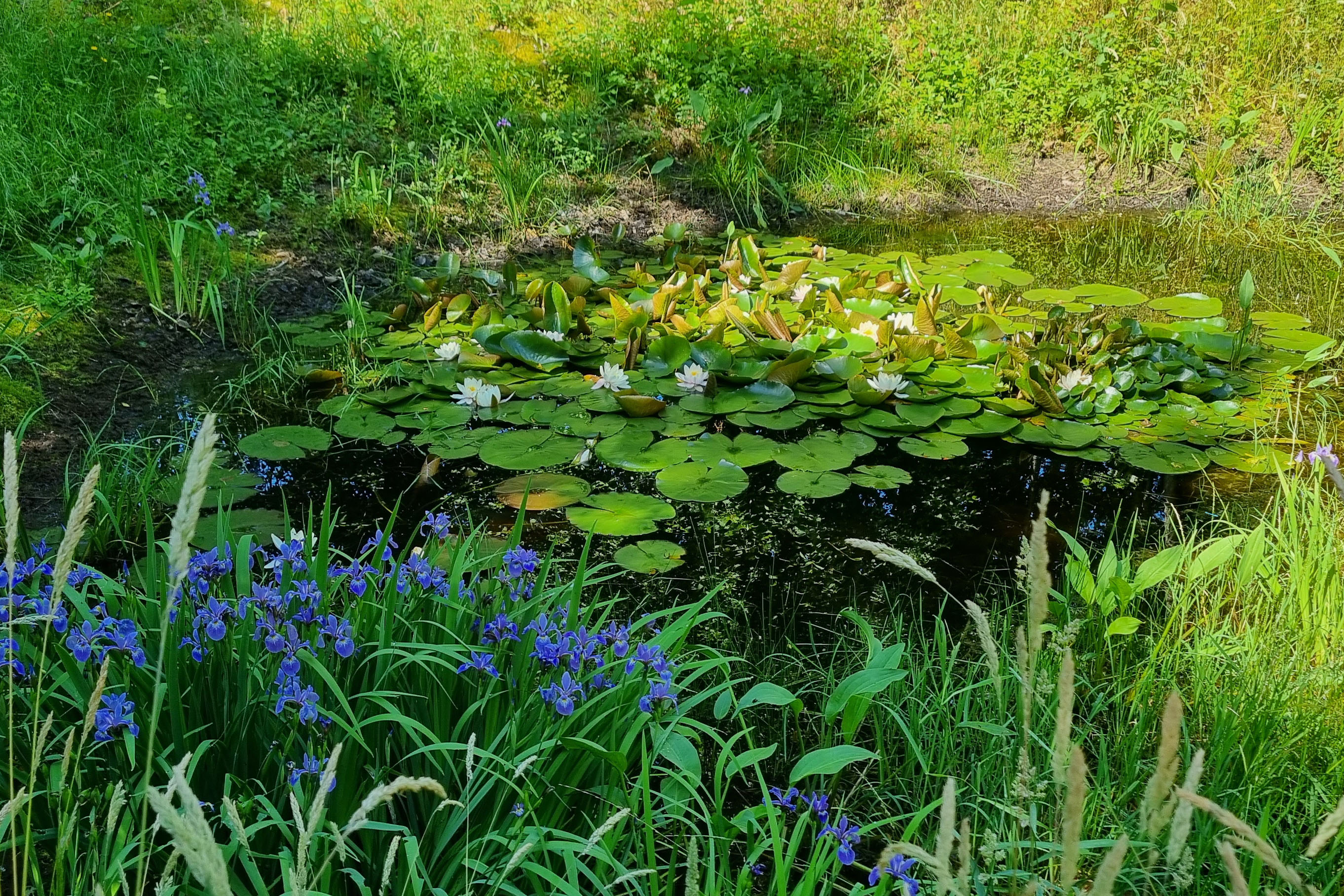 Camping Landgoed Geuzenbos