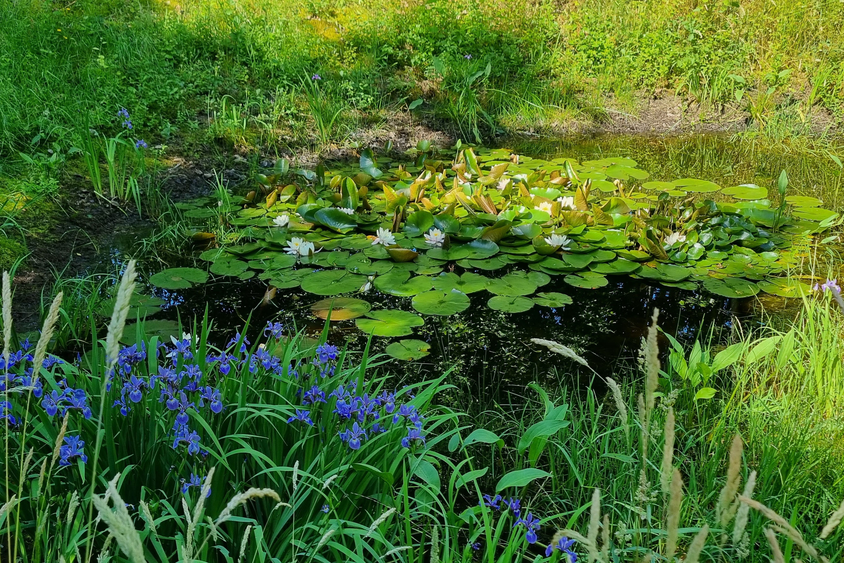 Camping Landgoed Geuzenbos