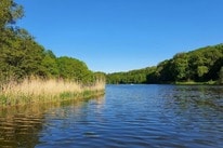 Campingpark Ohmbachsee – billede 5