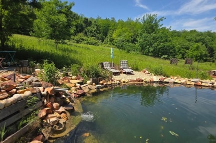 Koppany Pines Camping Site