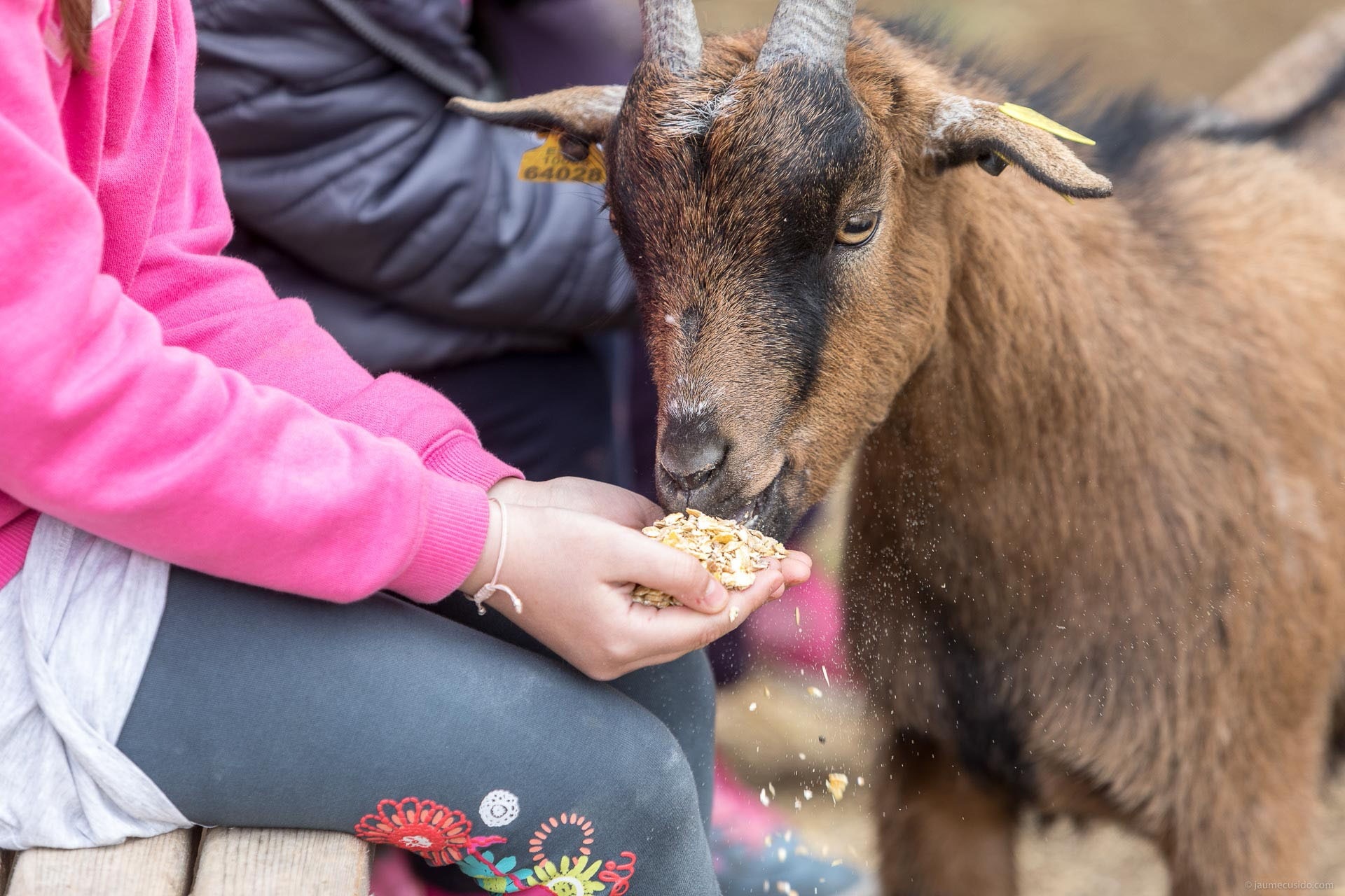 Camping Cal Paradís