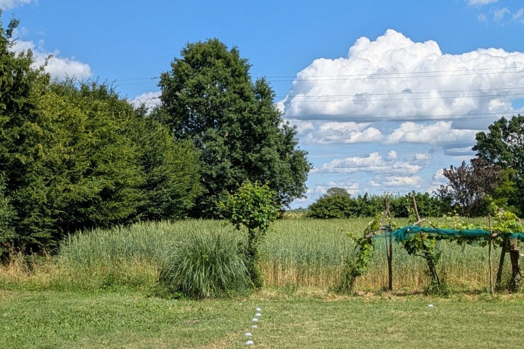 Agricola Giovanardi