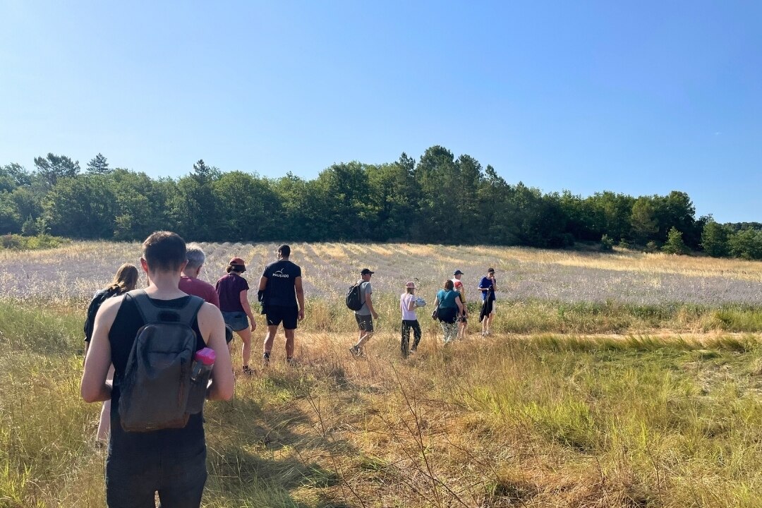 Pausado Camping Les Chênes Blancs