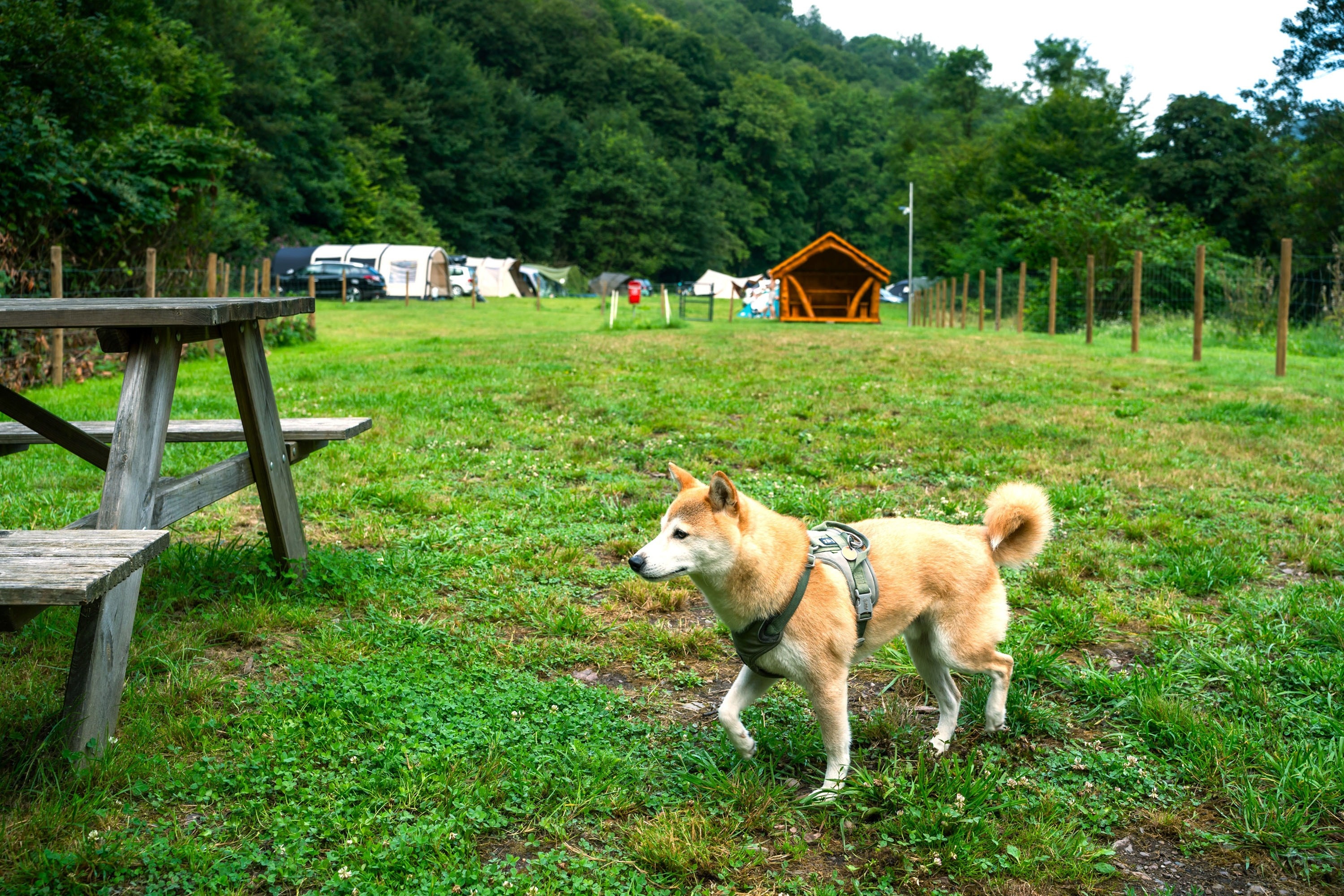 Moselcampingplatz Alf