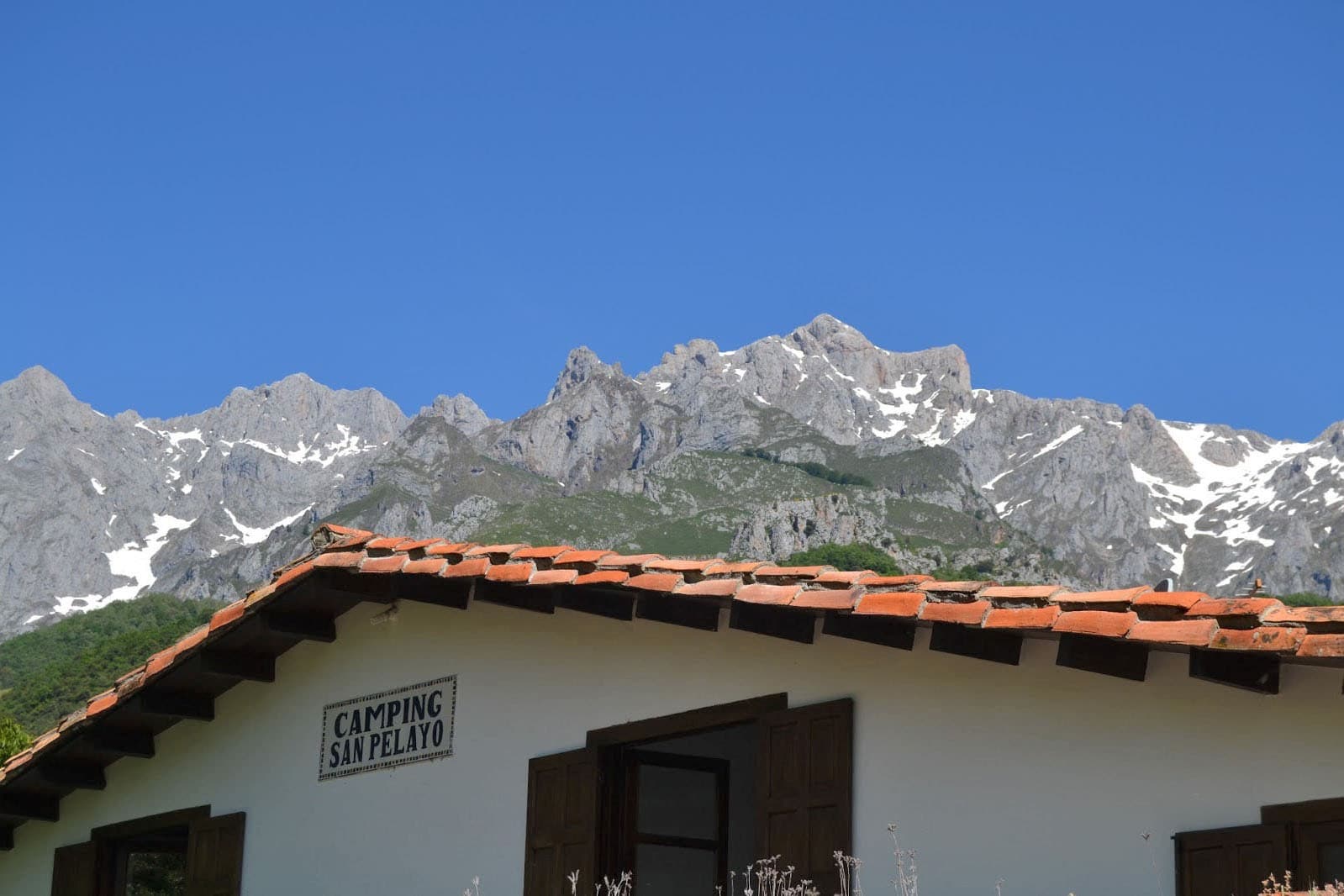 Camping San Pelayo