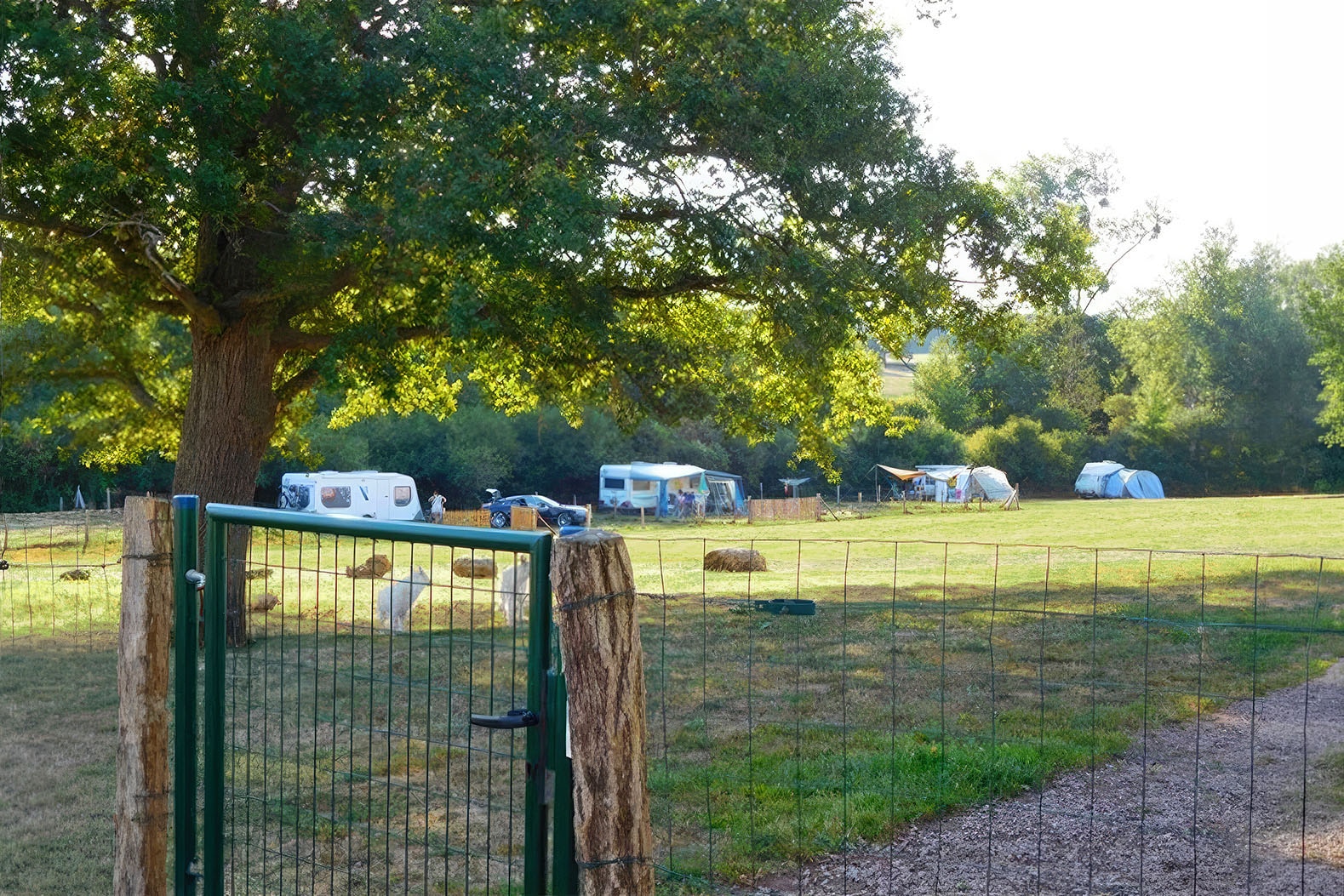 Hondencamping Le Grand Larue