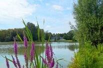 Camping de l'Aigrette – billede 5