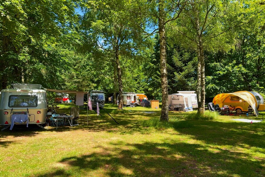 Camping Domaine de Lallé