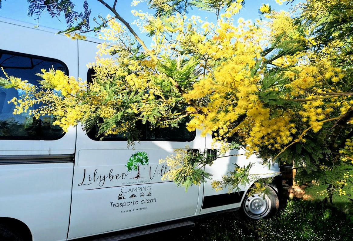 Camping Lilybeo Village