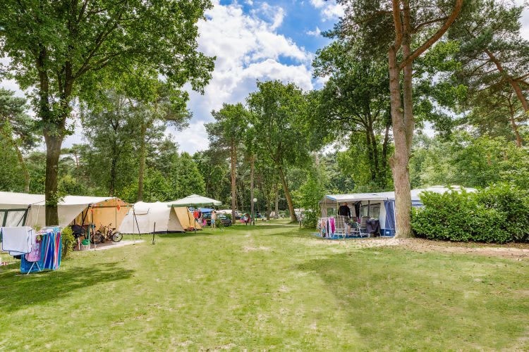 Ardoer cp. & bungalowpark De Haeghehorst