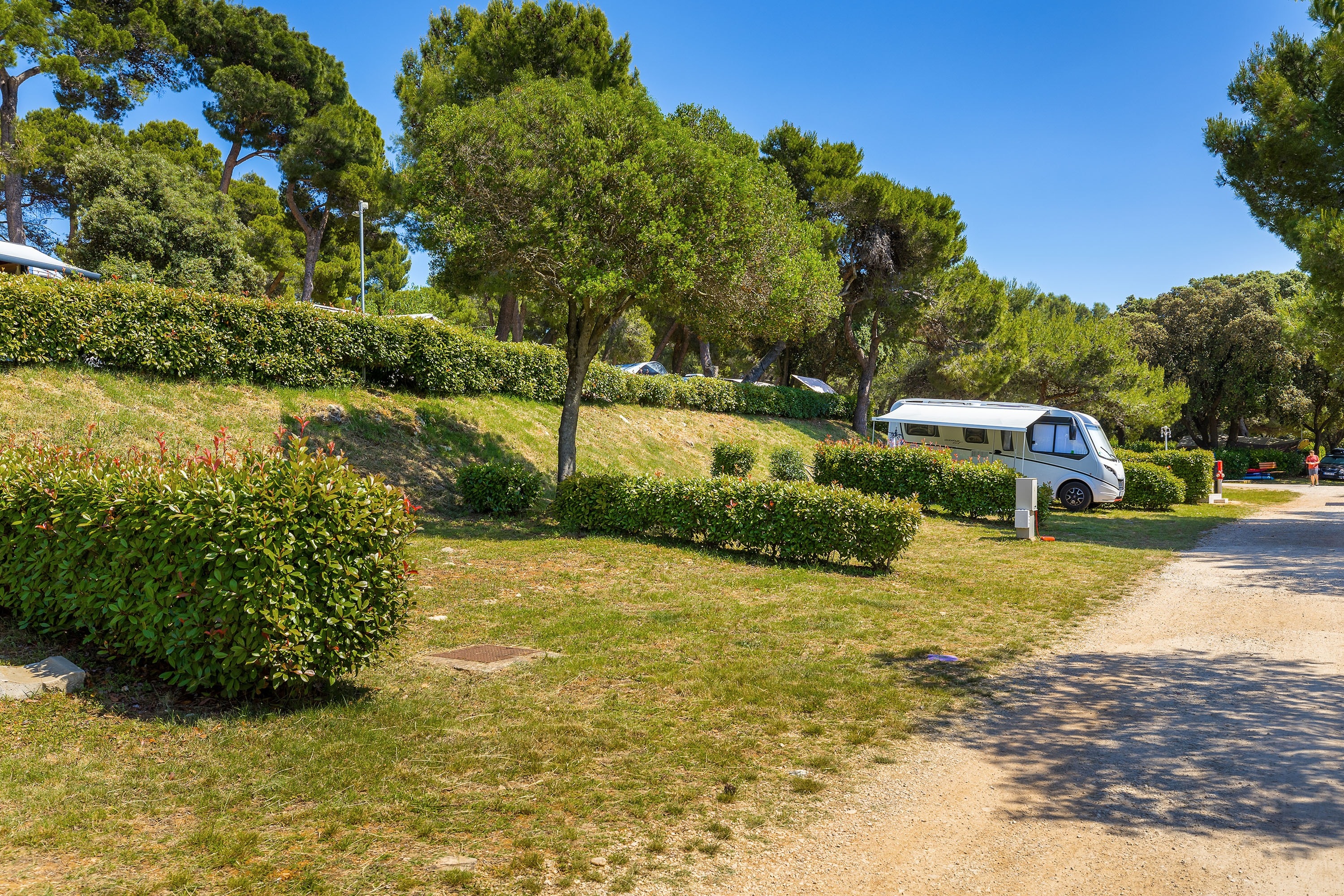 Arena Indije Campsite