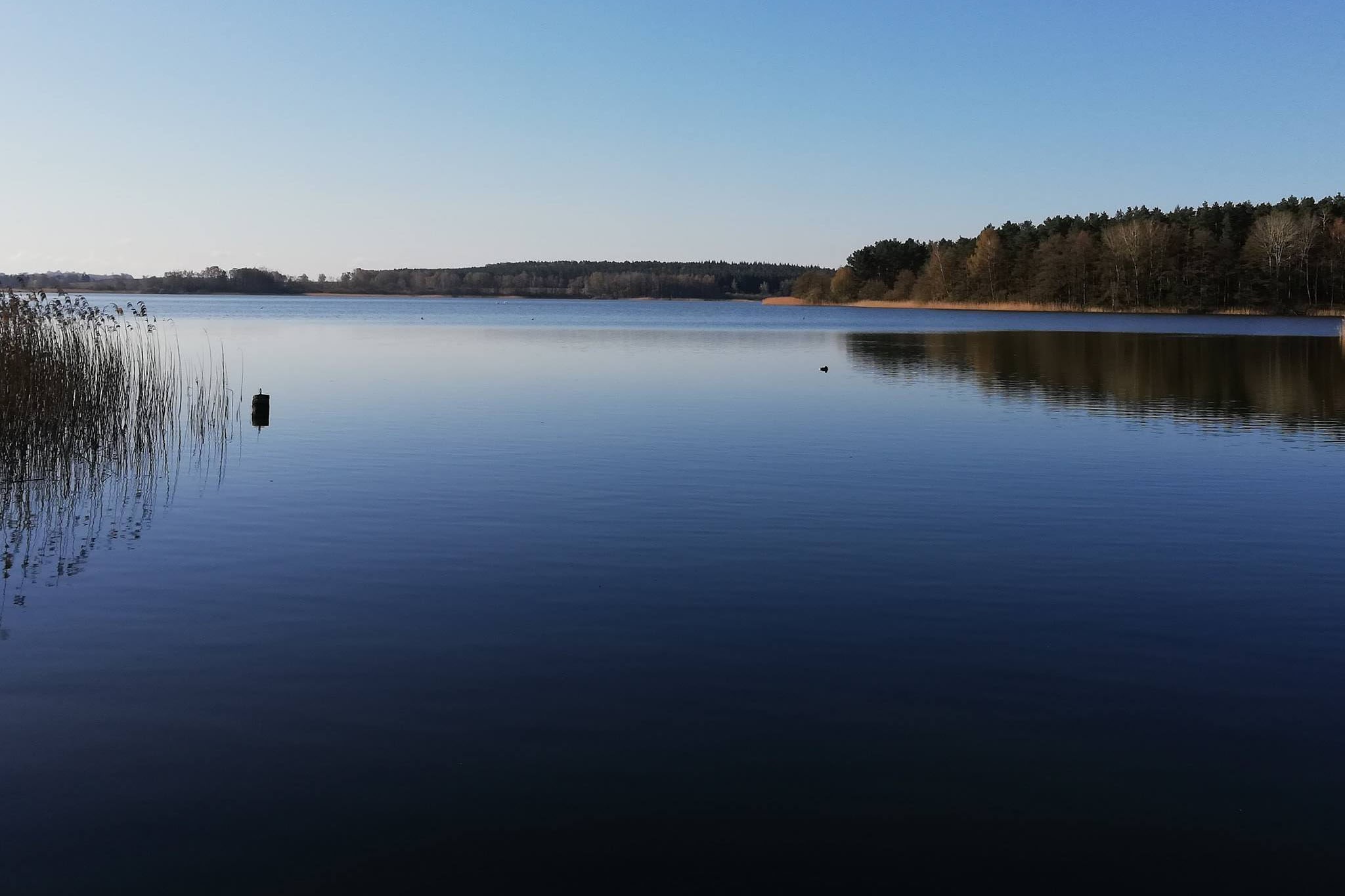 Campingplatz am Garder See
