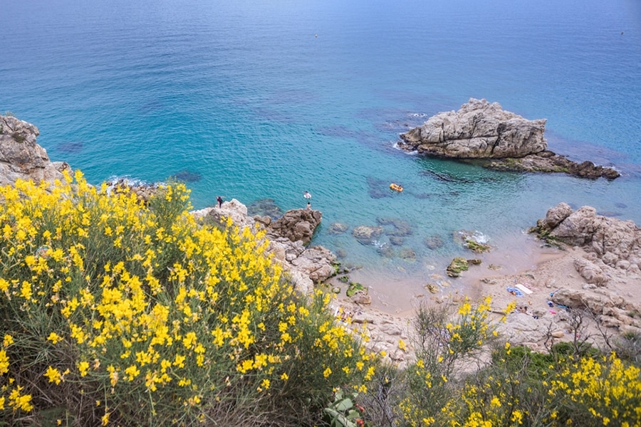 Camping Roca Grossa