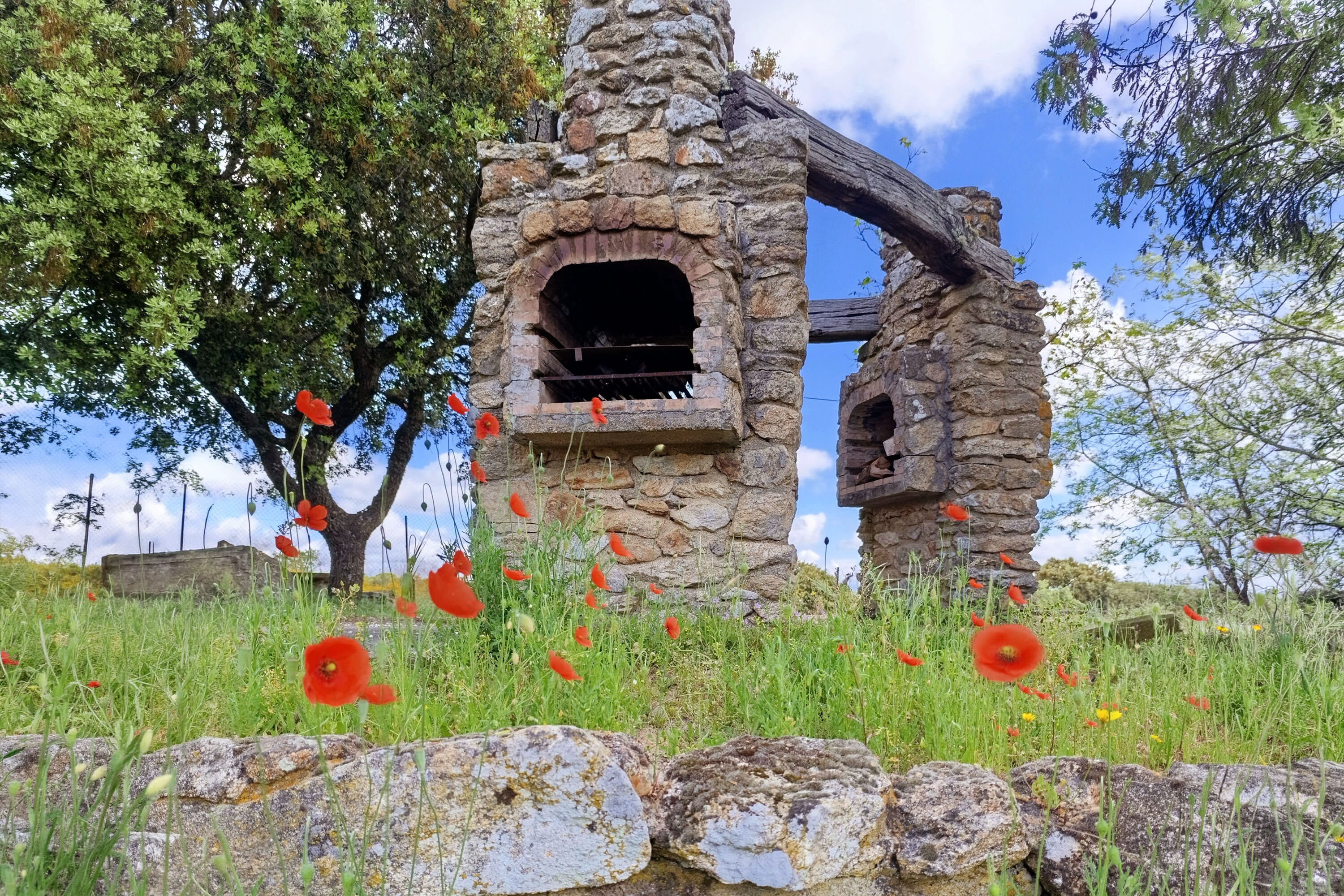 Camping Arribes del Duero